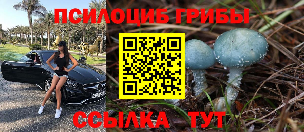 Галлюциногенные грибы MAGIC MUSHROOMS  Вход с VPN  Новочебоксарск  купить наркотик  Галлюциногенные грибы MAGIC MUSHROOMS 